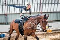 concours Club voltige