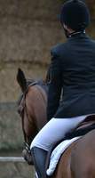 concours dressage